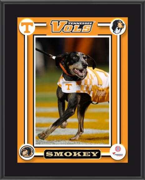 Smokey's Biggest Fan: An Inside Look at the Life of the Ultimate Tennessee Volunteers Supporter